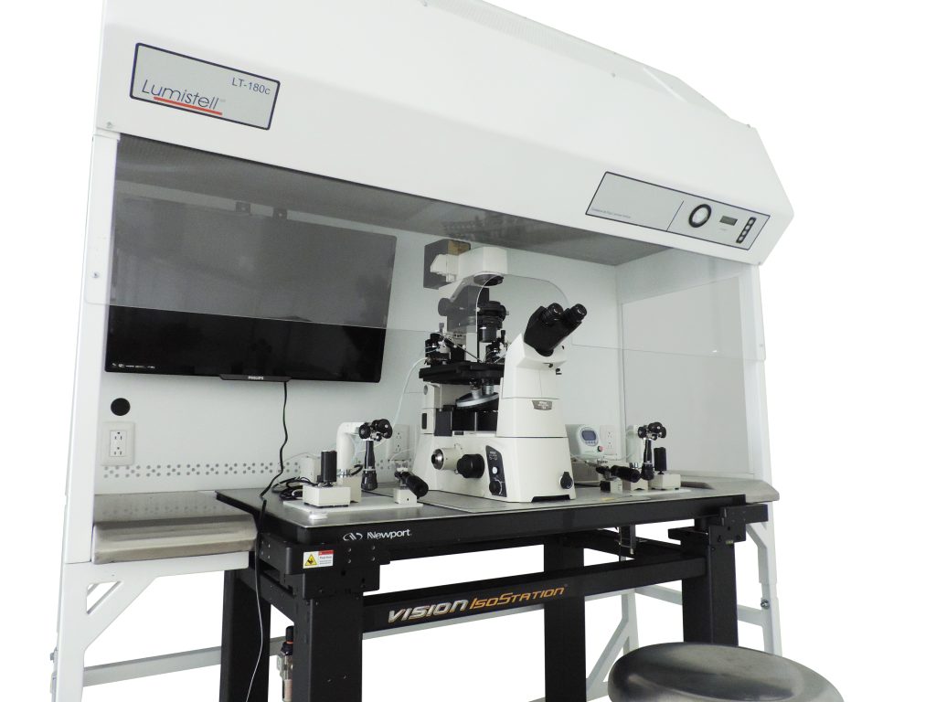 Campana de flujo laminar LT